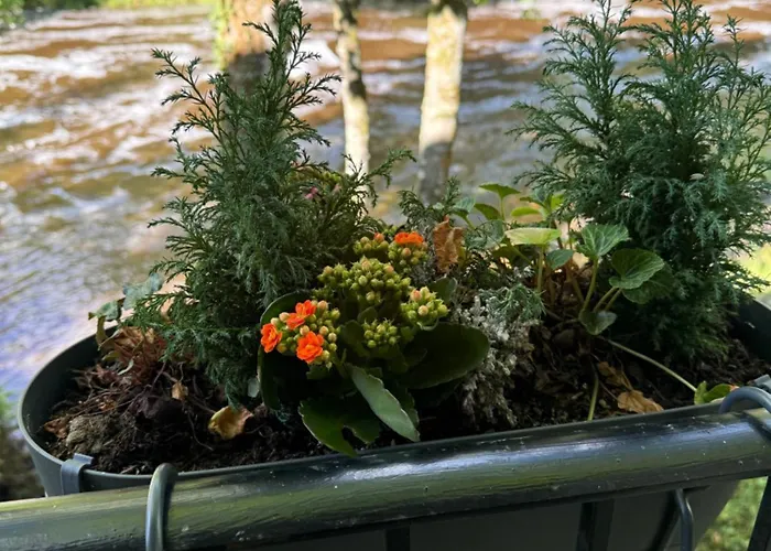 Holiday home River Dance Cottage, Aysgarth