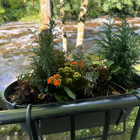 بيت للعطل River Dance Cottage, إيسجارث